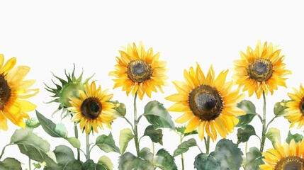 Fototapeta premium Vibrant Sunflowers Against White Background Generative AI
