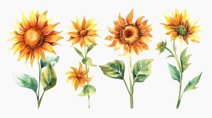 Vibrant Sunflowers on White Background for Summer Decor Generative AI