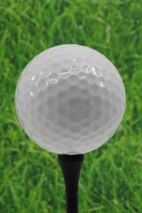 Golf ball on top of the tee 