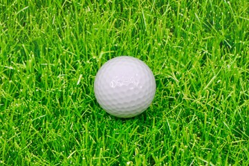Close-up of golf ball on a tee