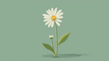   A white flower on a green background with a yellow center and a shadow of a leaf below it
