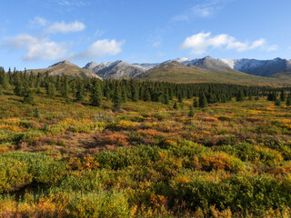 Alaska's beautiful Denali National Park in early fall