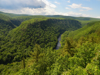 Grand Canyon of Pennsylvania at Leonard Harrison State Park