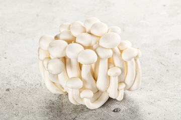 Japanese Shimeji mushroom for cooking