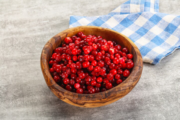 Ripe sweet wild organic cowberry