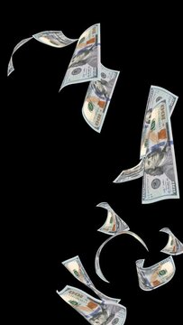 Vertical video for social media of Dollars animation falling free on black background for overlays with alpha matte blending