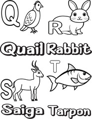 Black and white  Alphabet book vector illustration for Kid's (Q-T)