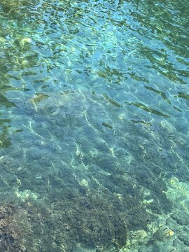 Sea clear water.