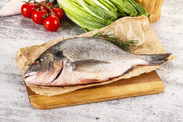 Raw dorada fish served rosemary