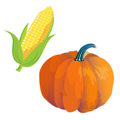 Set of harvest symbols - colorful pumpkin, corn, autumn cartoon vector illustration isolated on white background.