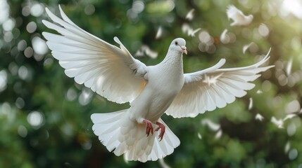 A majestic white dove spreads its wings fully while flying against a backdrop of blurry green trees and sunlight