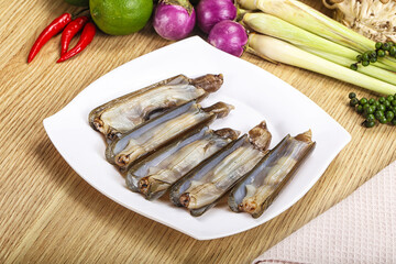 Raw fresh Razor clam mollusk