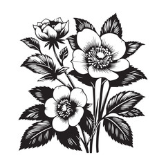 Vector drawing flowers, stylized design, isolated floral elements, hand-drawn illustration, Using Child and Adult coloring page, invitation card.