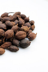 Black Cardamom or Greater Cardamom