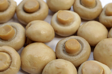 Champignon mushrooms in brine. Canned champignon mushrooms whole