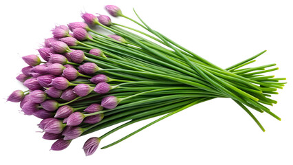 Fototapeta premium chives photo from above on isolated background