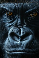Gorilla: A shot of a gorilla's facial features, capturing its powerful build and expression. 