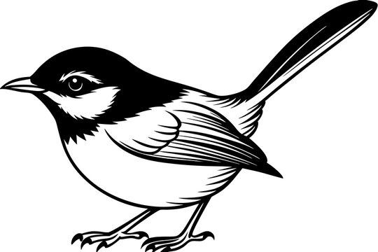 recommend clip art: outline fairy wren animal vector illustration