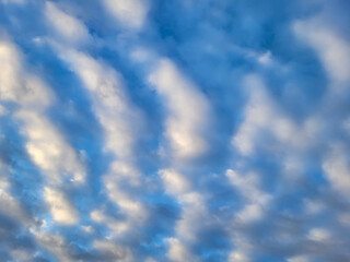 Fototapeta premium The sky at dawn with clouds of blue and pink shades