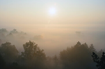 autumn dawn, fog and sun, morning background.