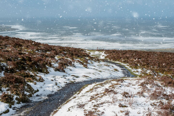 Hill with red grass and green forest. Benbulben flat top mountain covered with snow and cloudy sky in the background. County Sligo, Cold winter season in Ireland. Irish landscape.