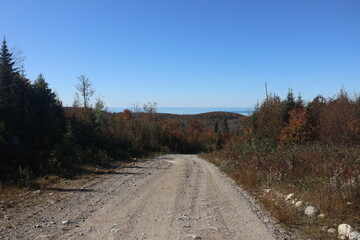 gravel road in autumn forest