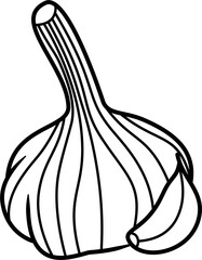 Garlic outline illustration vector