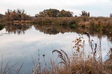 Peaceful scenery of Ukraine's Siverskyi Donets river shore, with autumn trees and cloudy sky