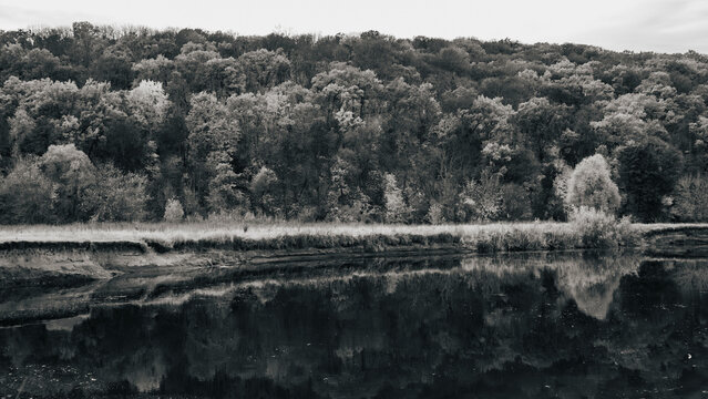 River Turn with Trees on Riverside with Reflections. Siverskyi Donets River in Ukraine in Black and White
