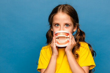 A child is holding a model of a human jaw in close-up on a blue background. Children's dentistry....