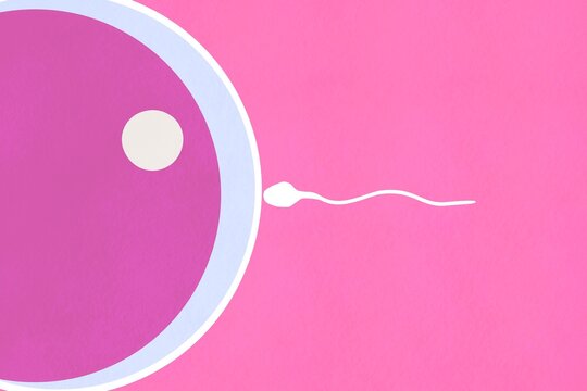 Illustration of a sperm approaching an egg on pink background