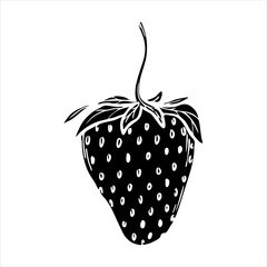 Vector strawberry silhouette illustration, hand drawn botanical outline drawing, monochrome strawberry icon. Design element for background, pattern, packaging, icon, logo.