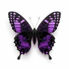 Obraz premium Beautiful colorful butterfly isolated over white background