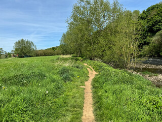 A narrow dirt path meanders through a lush green field, leading towards a cluster of trees. As a tranquil River Aire runs parallel to the path on the right in, Cottingley, UK
