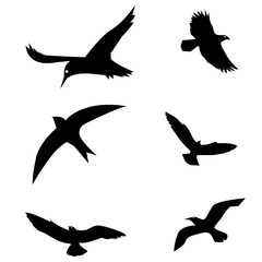 Set of silhouettes of birds. Silhouettes are commonly used for signs