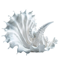 Fototapeta premium [Transparent Background PNG]Abstract white seashell sculpture