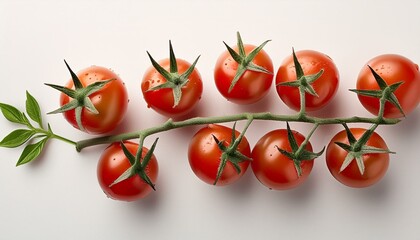 cherry tomatoes on white background