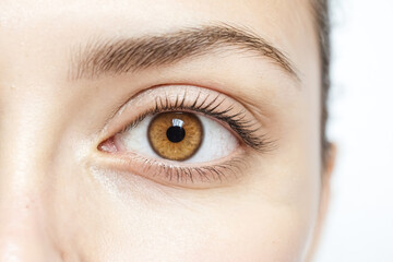 Obraz premium Close-up of a Woman's Brown Eye with Long Eyelashes