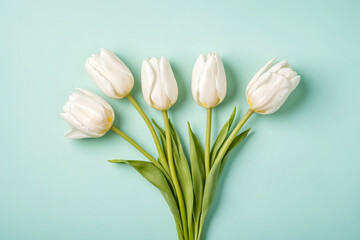 White tulips on a mint green background