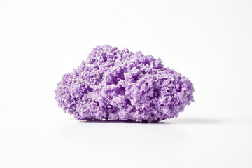 Fototapeta premium Close-Up of a Purple Coral
