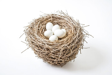 Bird's Nest with White Eggs