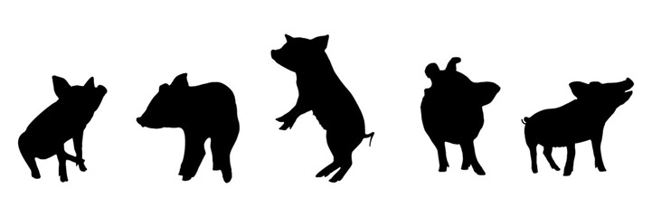 pig silhouette illustration  background for a pet day