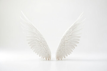 White Angel Wings on a White Background