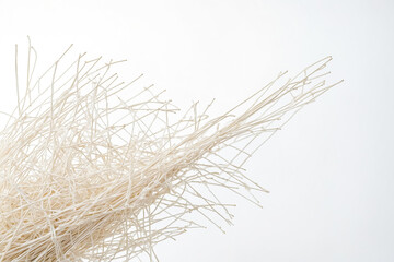 Obraz premium Abstract White Twigs on White Background