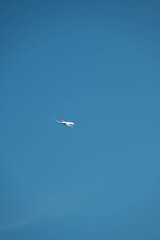 Fototapeta premium 空