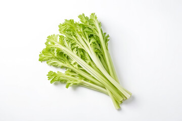 Celery stalks on white background