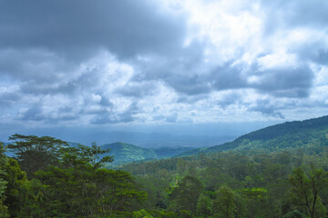 Mountains under mist in the morning with clouds Amazing nature landscape 