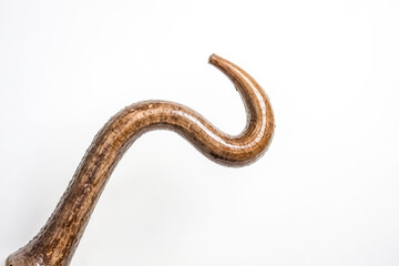 Closeup of a Curved Brown Branch