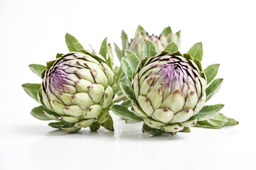 Fototapeta premium Fresh artichoke buds on white background