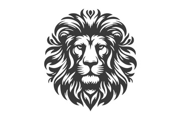 head of lion, king of wild